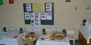 Loučení s podzimní zahradou v MŠ Opava - Komárov - 1603122351_DSC_0842.jpg