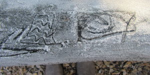 Mrazík maluje na naší zahradě - 1609853799_IMG_7581.JPG