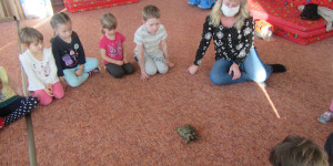 Domácí mazlíčci - 1612892057_IMG_7900.JPG