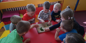 Kouzlo bylinek - 1620156191_IMG_20210427_093838.jpg