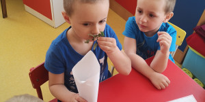 Kouzlo bylinek - 1620156224_IMG_20210426_100040.jpg