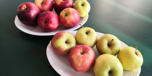 Ovoce do škol - "apple time" - 1648407737_IMG_20220317_074236.jpg