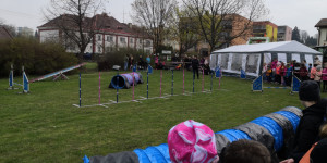 Den mláďat Opava - 1651610506_IMG_20220422_103157.jpg