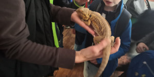 Školní výlet do ZOO Ostrava 30.5. - 1654075548_IMG_20220530_110654.jpg