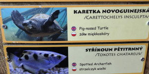 Školní výlet do ZOO Ostrava 30.5. - 1654075626_IMG_20220530_105206.jpg
