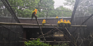 Školní výlet do ZOO Ostrava 30.5. - 1654075719_IMG_20220530_111405.jpg