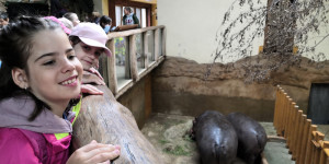 Školní výlet do ZOO Ostrava 30.5. - 1654075771_IMG_20220530_102157.jpg