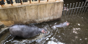 Školní výlet do ZOO Ostrava 30.5. - 1654075789_IMG_20220530_102743.jpg