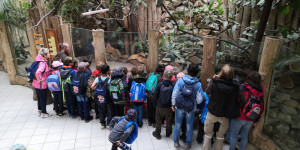 Školní výlet do ZOO Ostrava 30.5. - 1654075811_IMG_20220530_101610.jpg