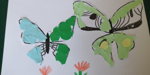 🦋Summer butterflies🦋 - 1655457623_IMG_20220617_111809.jpg