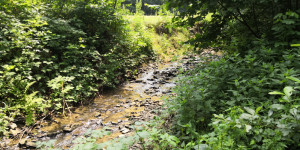 Výlet na Podvihovský Mlýnek - 1656864242_IMG_20220629_120652.jpg