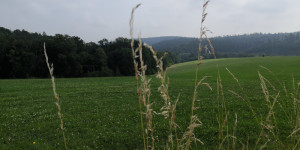 Výlet na Podvihovský Mlýnek - 1656864337_IMG_20220629_093637.jpg