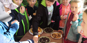 Edukační program "Raduňské radovánky" a návštěva oranžerie - 1666246578_IMG_20221018_104151.jpg