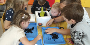 Žížaly jsou naši kamarádi-děti z Podvihova kompostují - 1667595240_IMG_20221102_093740.jpg