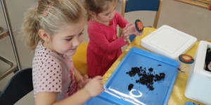 Žížaly jsou naši kamarádi-děti z Podvihova kompostují - 1667595243_IMG_20221102_094724_1.jpg