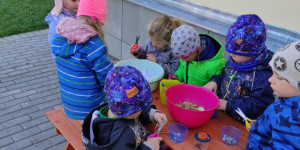 Žížaly jsou naši kamarádi-děti z Podvihova kompostují - 1667595257_IMG_20221102_104244_1.jpg