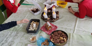 Vánoce u lištiček - 1671619788_IMG_20221221_091937.jpg