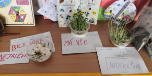 Pokusy přírodovědné 1. část - 1695652993_IMG_20230925_130628.jpg