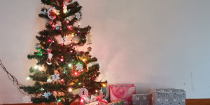 Vánoce u lištiček 🎄 - 1703186492_IMG_20231220_093346.jpg