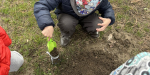 Sázení semínek - 1710448752_IMG_0523.jpeg