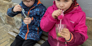 Bylinkový den - 1711185051_IMG_0772.jpeg