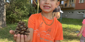Sbíráme přírodniny - 1725820155_IMG_2543.jpeg