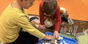 Zvířátka z lesa - 1731872725_IMG_7449.jpeg