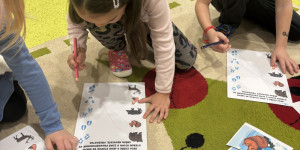 Zvířátka z lesa - 1731872745_IMG_7462.jpeg