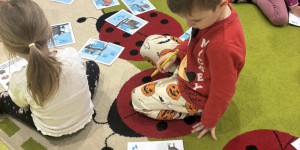 Zvířátka z lesa - 1731872762_IMG_7471.jpeg