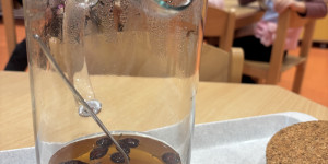 Zvířátka z lesa - 1731872801_IMG_7474.jpeg