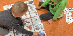Zvířátka z lesa - 1731872886_IMG_7369.jpeg