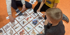 Zvířátka z lesa - 1731872908_IMG_7354.jpeg