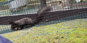 Záchranná stanice Bartošovice - 2. třída - 1732015363_IMG_8302.jpeg