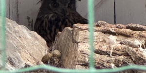 Záchranná stanice Bartošovice - 2. třída - 1732015365_IMG_8315.jpeg