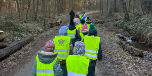 Návštěva lesa - 1738089724_7d2db281-911c-4362-8515-1cb6805628b6.jpeg