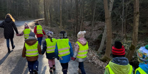 Návštěva lesa - 1738089727_341b5221-1754-4ffe-8c22-09385f2f8e46.jpeg