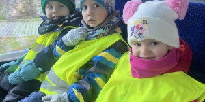 Výlet do lesa - 1738126404_IMG_5341.jpeg