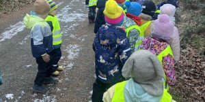 Výlet do lesa - 1738126416_IMG_5349.jpeg