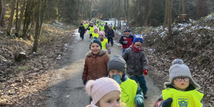 Výlet do lesa - 1738126423_IMG_5361.jpeg