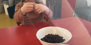 Staráme se o ptáčky - 1739561659_IMG_5695.jpeg