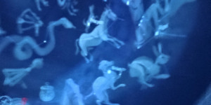 Medvídci v planetariu - 1744197132_1000004202.jpg