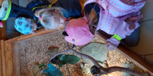 Návštěva mini ZOO - 1745496604_1000000800.jpg