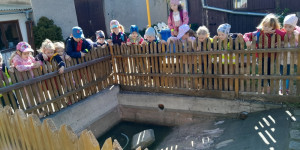 Návštěva mini ZOO - 1745496629_1000000752.jpg
