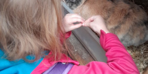 Návštěva mini ZOO - 1745496632_1000000746.jpg