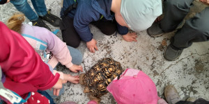 Návštěva mini ZOO - 1745496633_1000000744.jpg