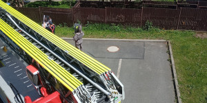 Včelí rojení - 1748363940_1000015017.jpg