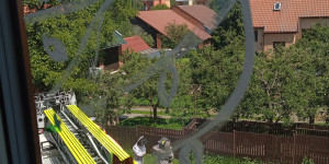 Včelí rojení - 1748363943_1000015019.jpg
