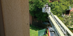 Včelí rojení - 1748363951_1000015026.jpg