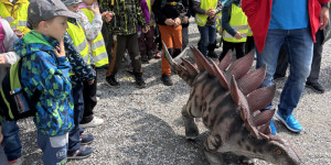 Dinopark - 1748441935_IMG_3160.jpeg