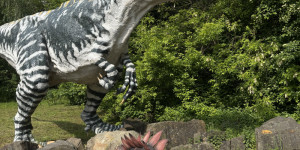 Dinopark - 1748441939_IMG_3166.jpeg